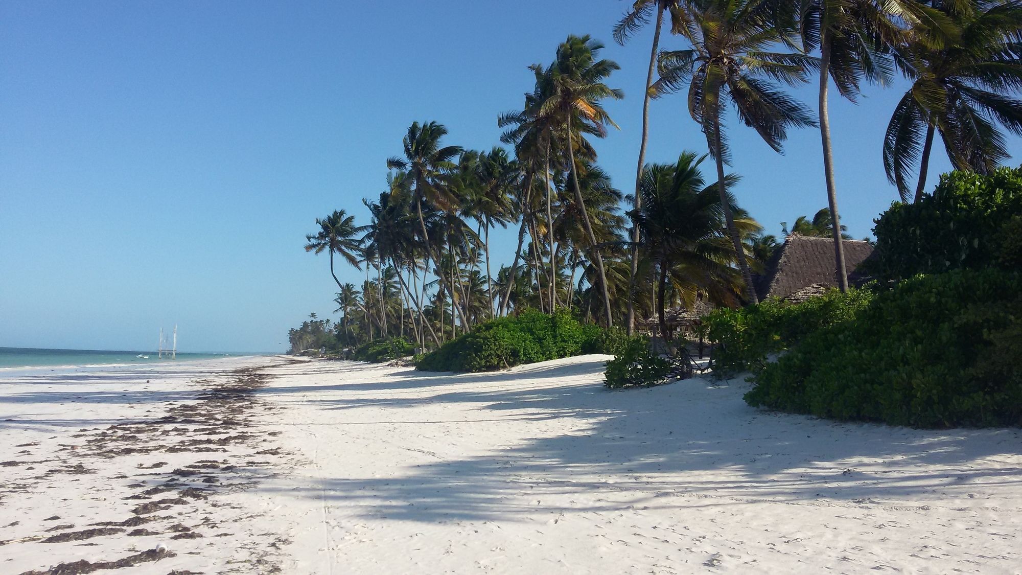 African Sun Sand Sea Beach Resort & Spa Bwejuu Exterior foto